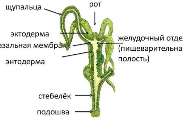 Ссылки на кракен маркетплейс