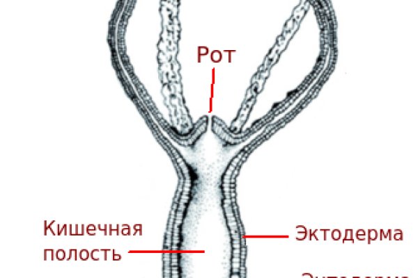 Kraken вход