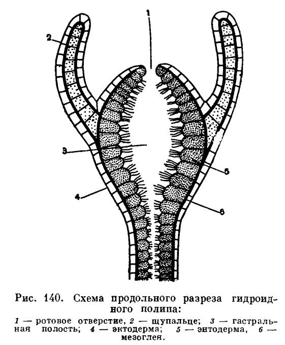 Новая ссылка кракена